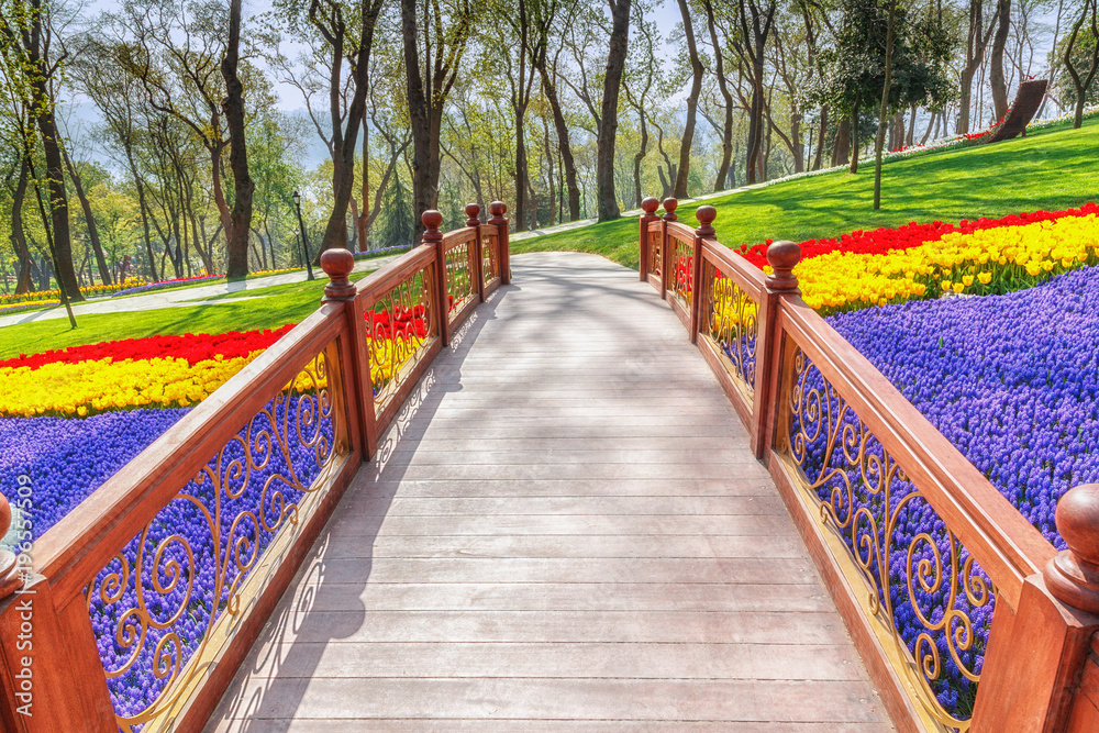 Romantic wooden bridge among of tulips and other flowers in city park Emirgan Korusuin in Istanbul, Turkey. Spectacular blooming spring seasonal scenery. Romantic wooden bridge among of tulips and other flowers in city park Emirgan Korusuin in Istanbul, Turkey. Spectacular blooming spring seasonal scenery.