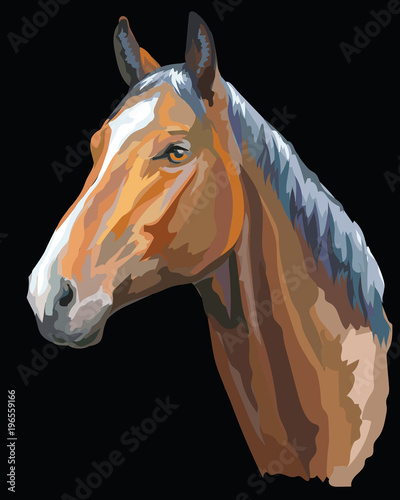 Colored Horse portrait-1