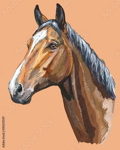 Colorful Horse portrait-1
