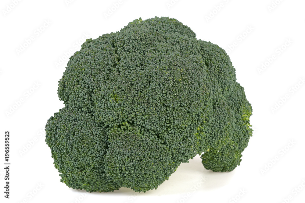 green fresh broccoli isolated on white background green fresh broccoli isolated on white background