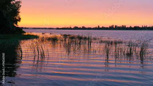 water surface in the evening at sunset with a growing grass screensaver spa background
