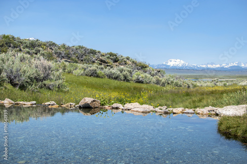 Eastern Sierra Cold Springs