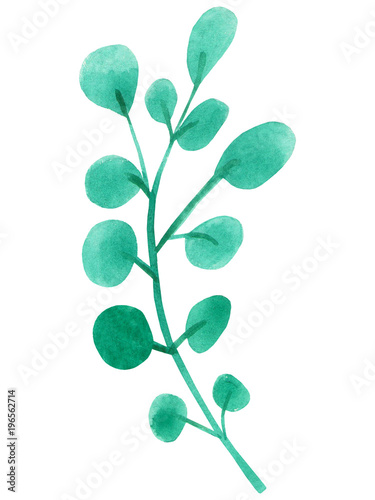 Hand drawn green leaf. Watercolor isolated object.