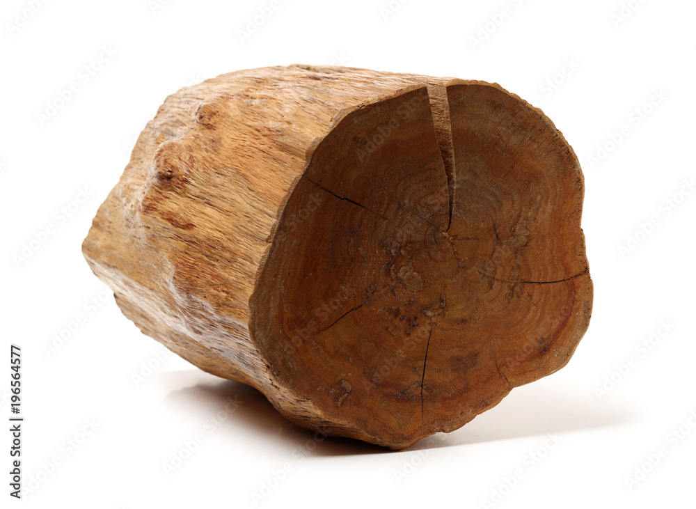 log isolated on a white background log isolated on a white background