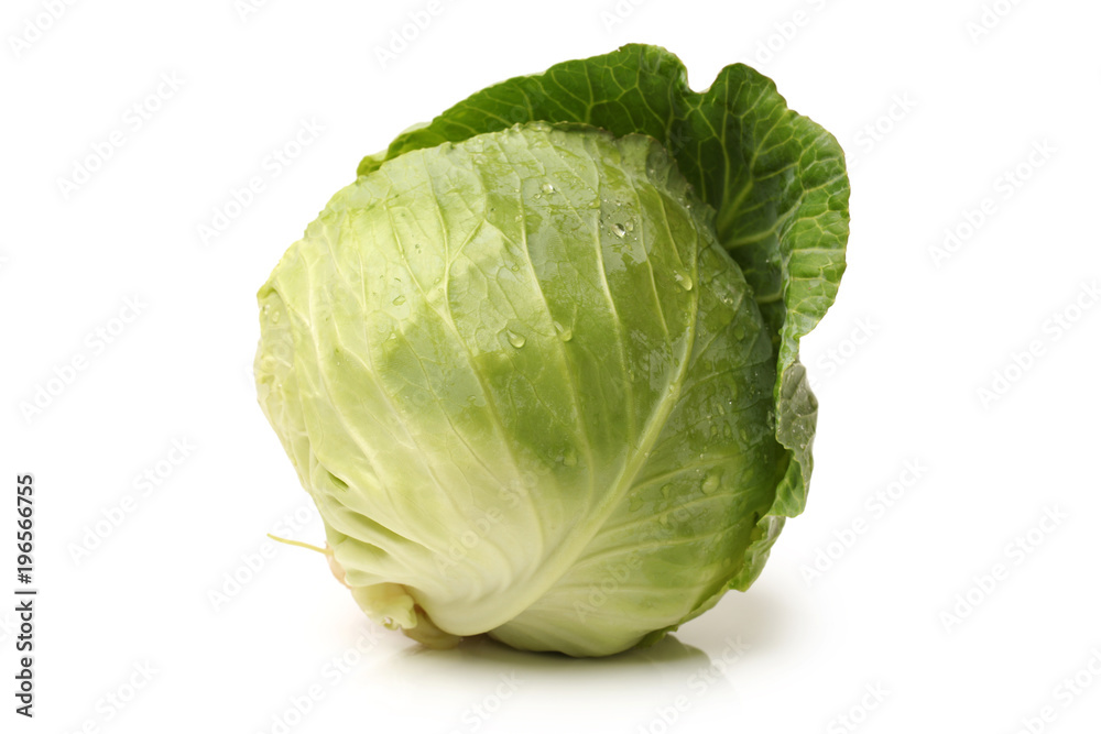 cabbage on white background cabbage on white background