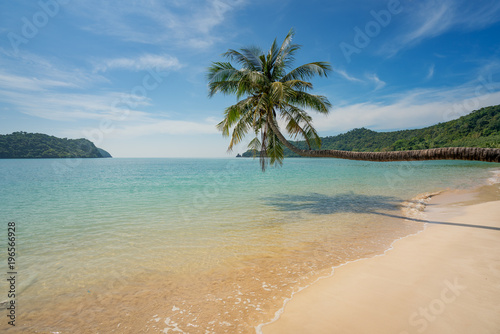 Fototapeta Naklejka Na Ścianę i Meble -  Coconut palm tree over summer beach sea in Phuket ,Thailand. Summer, Travel, Vacation and Holiday concept