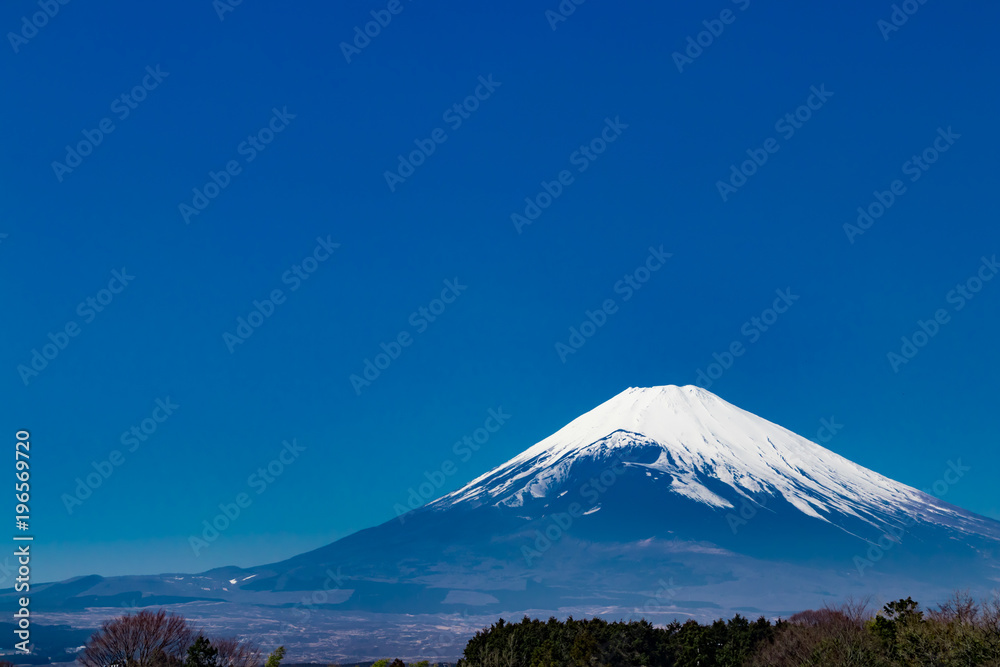 雄大な富士山