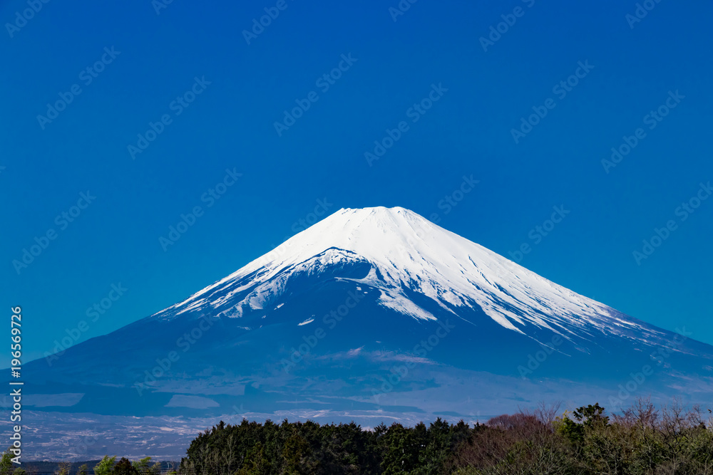 雄大な富士山
