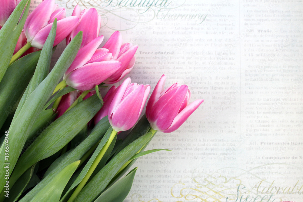 Pink tulips on vintage background: paper, newspaper. Spring flowers. A romantic floral background with copy space