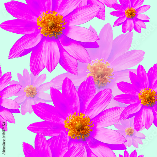 Adonis. Seamless pattern texture of flowers. Floral background, photo collage © svrid79