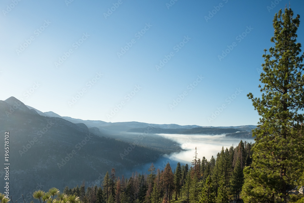 Morning fog in Yosemite, National Park