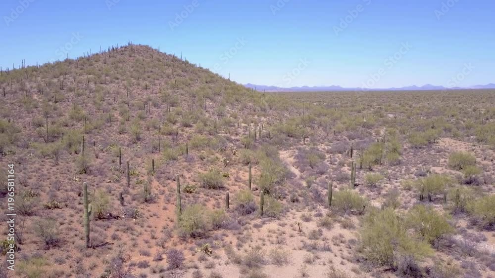 Aerial shot over desert cactus in Saguaro National Park near Tucson, Arizona. Aerial shot over desert cactus in Saguaro National Park near Tucson, Arizona.