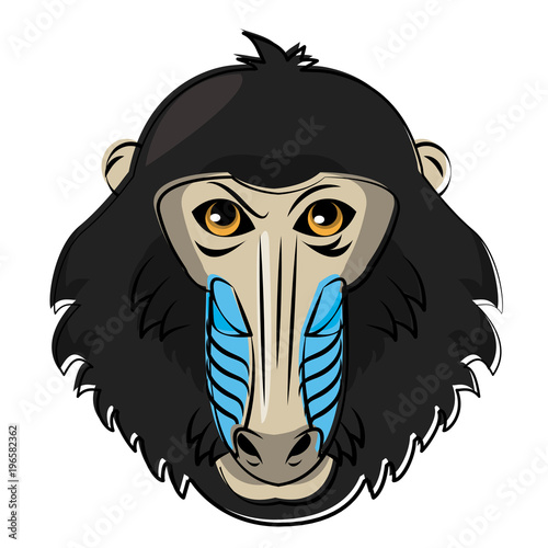 Mandrel monkey Wild animal head vector illustration graphic design