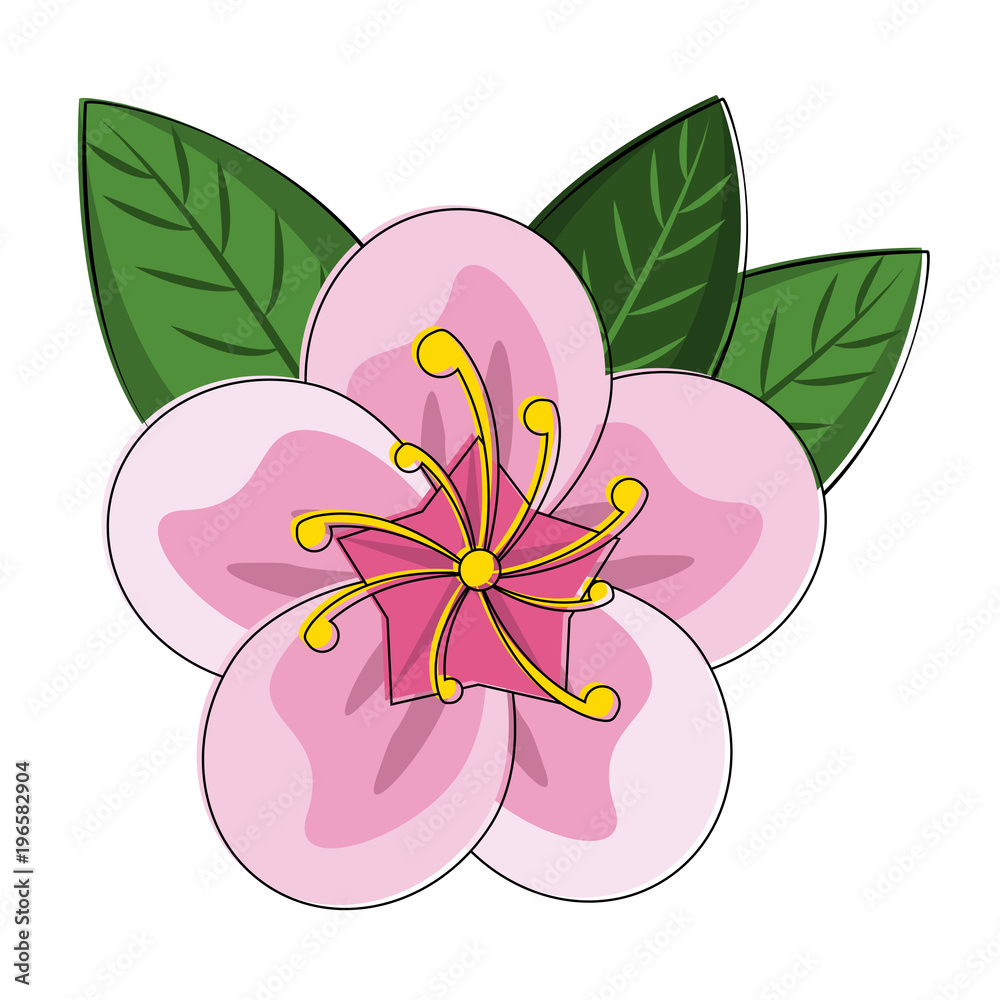 Beautiful flower symbol vector illustration graphic design Beautiful flower symbol vector illustration graphic design