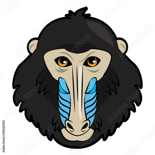 Mandrel monkey Wild animal head vector illustration graphic design