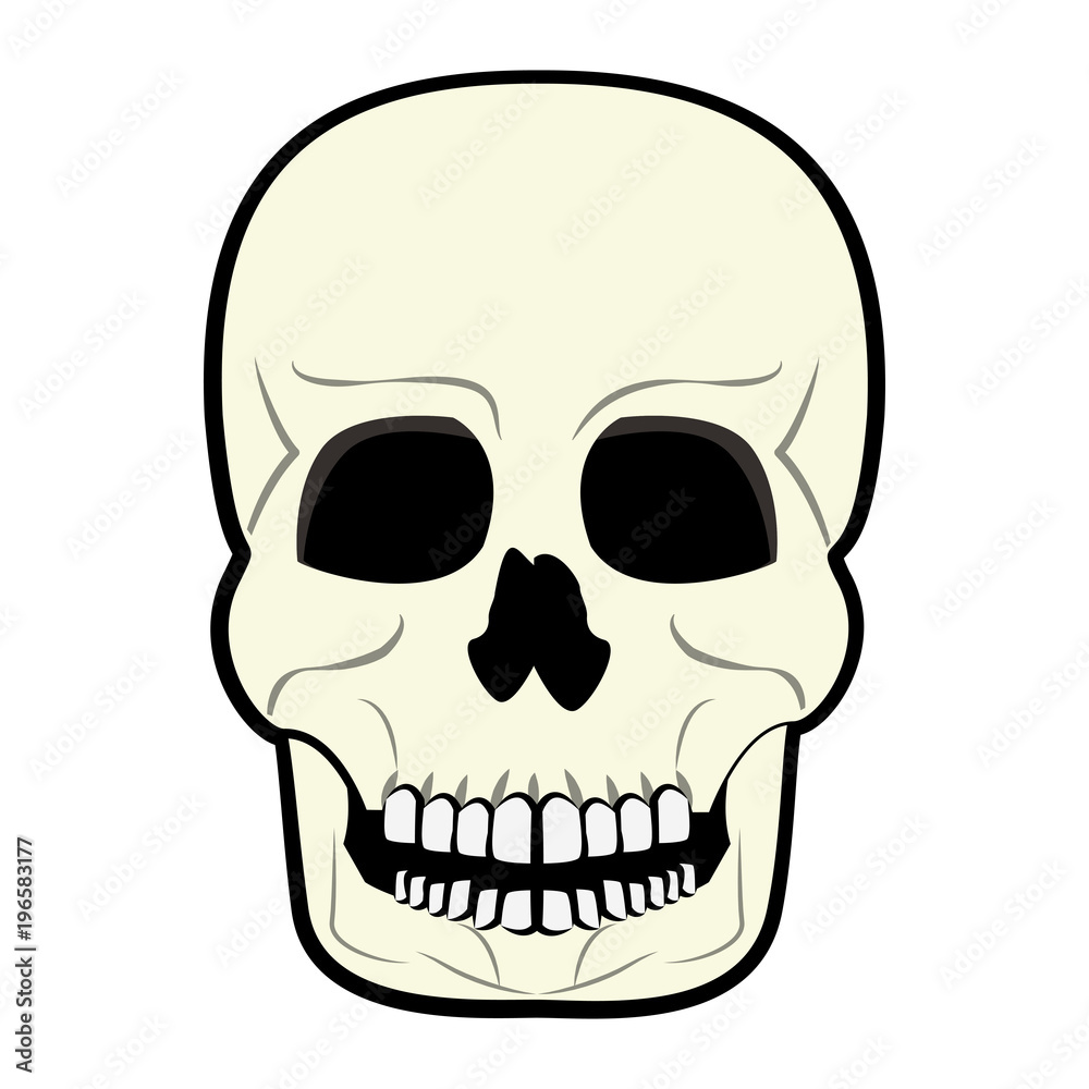 Human skull cartoon vector illustration graphic design Stock Vector | Adobe  Stock