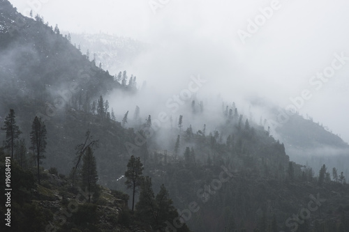 Fogs Among Trees and Mountains on a Rainy Day in Hetch Hetchy Reservoir Area in Yosemite National Park, California photo