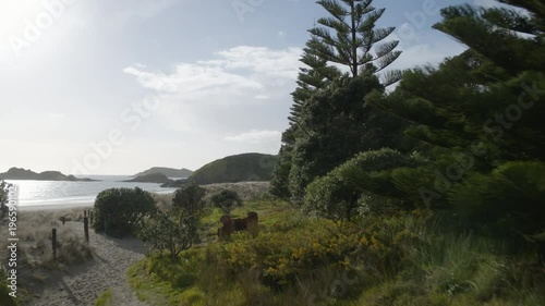 Fast moving drone shot of a New Zealand beach and tramping path. Te Whara track. photo