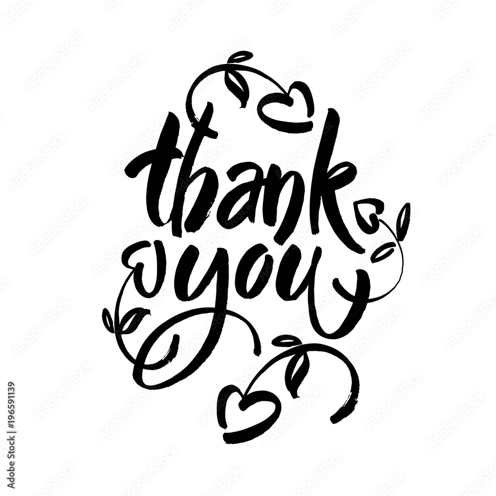 Thank you text on white background. Calligraphy lettering Modern brush calligraphy. Thank you text on white background. Calligraphy lettering Modern brush calligraphy.