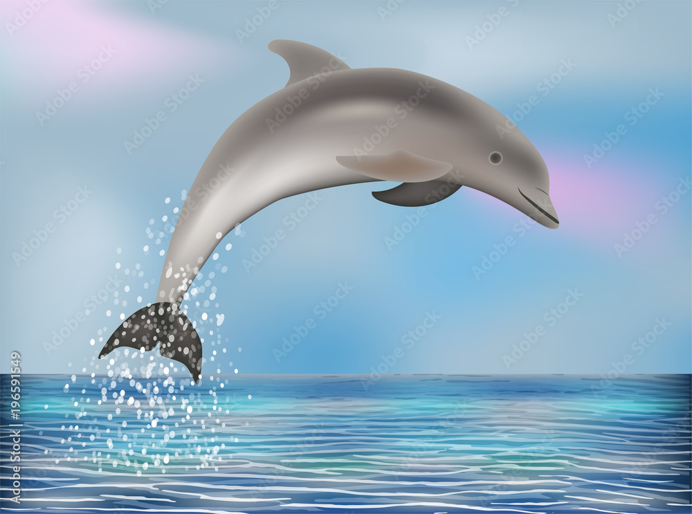 Naklejka premium Dolphin wallpaper. vector illustration