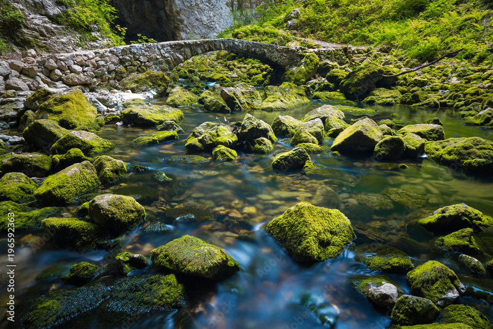 Mountain Creek in Slovenia