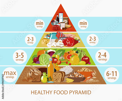 Food pyramid