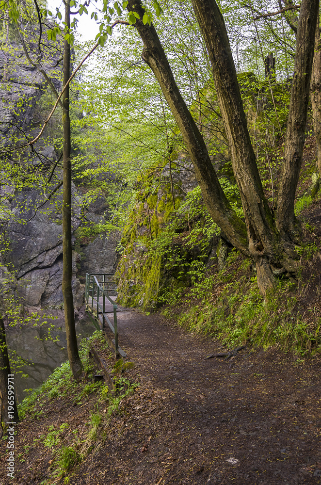 Rieger Trail, Bohemian Paradise, (Cesky Raj), Czech Republic Rieger Trail, Bohemian Paradise, (Cesky Raj), Czech Republic