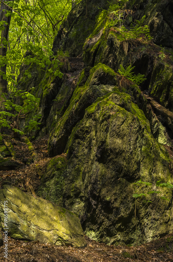 Rieger Trail, Bohemian Paradise, (Cesky Raj), Czech Republic Rieger Trail, Bohemian Paradise, (Cesky Raj), Czech Republic