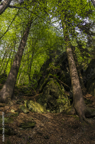 Rieger Trail, Bohemian Paradise, (Cesky Raj), Czech Republic