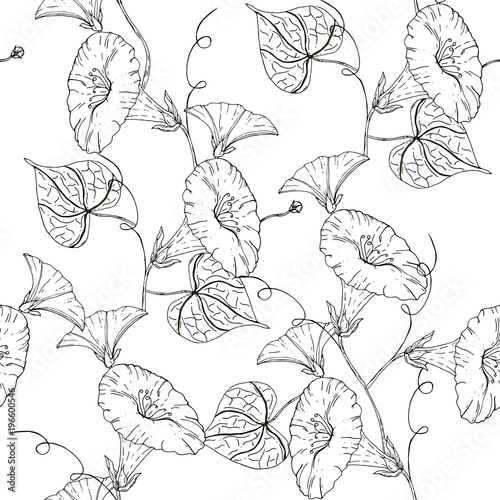 Vector uncolored garden flowers in seamless pattern.