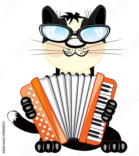 Cat plays on accordeon