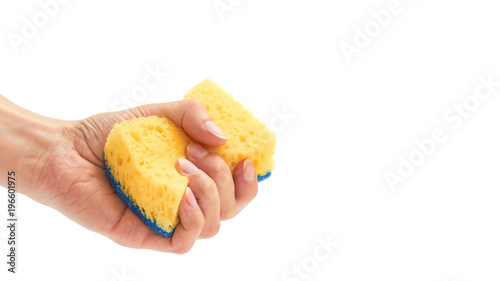 Female hand holds new and clean sponge for cleaning. Isolated on white background. copy space, template