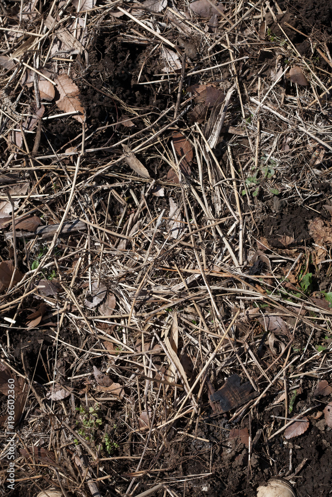 Molded straw and foliage   for soil