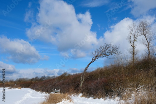 Wallpaper Mural Winter am Naturstrand Torontodigital.ca