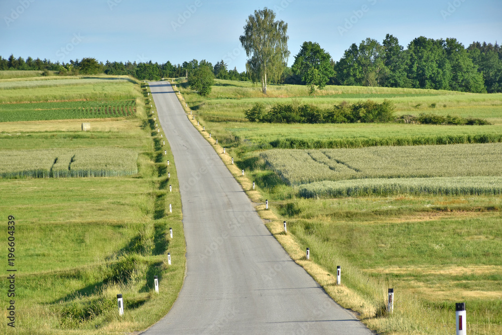 lonley country road between graindfields and meadows in lower austria, waldviertel region, in summer