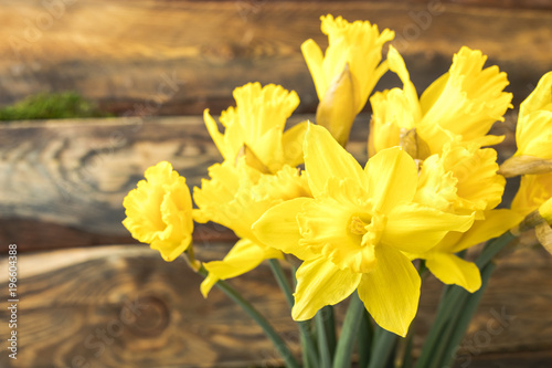 Fototapeta Naklejka Na Ścianę i Meble -  Bouquet Yellow daffodil on a wooden background. Copy space 1