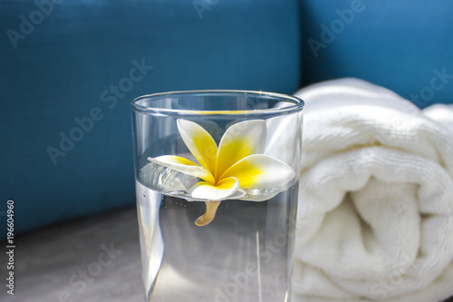 Flower Frangipana in a glass with water close-up. The concept of SPA. Copy space 1 photo