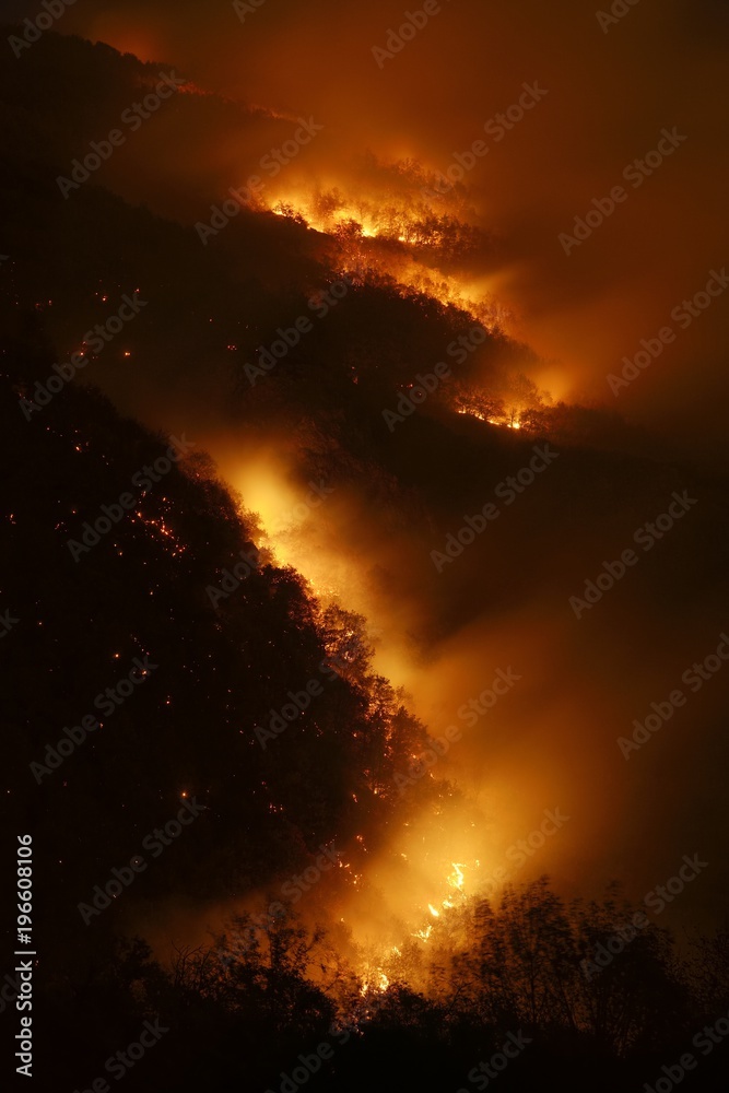 Night photography of a wildfire in a mountain forest Night photography of a wildfire in a mountain forest