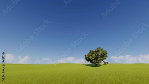 Two horses near a lonely tree and clouds photo