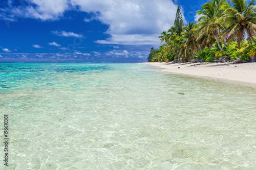 Fototapeta Naklejka Na Ścianę i Meble -  Tropical beach with rocks and palms on Cook Islands
