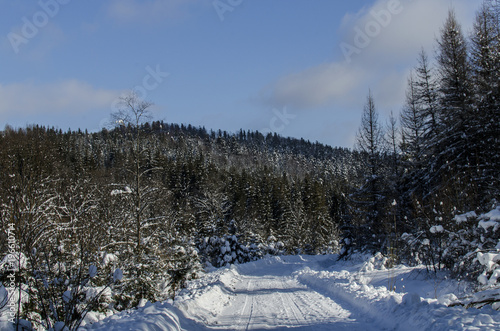Fototapeta Naklejka Na Ścianę i Meble -  wzgórza zimą Bieszczady 