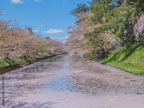 春の弘前城の水堀の風景