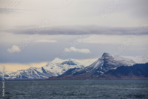 Iceland sea coast in the dramatic cold light 
