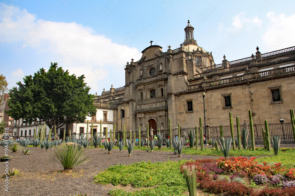 Side aspect of Metropolitan Cathedral (Catedral Metropolitana) in Mexico City Zocalo Square, showing a native Mexican garden of cactus, shrubs, grasses, and flowers