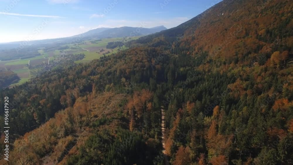 4K Cinematic tree forest in autumn drone shot. Scenic aerial shot on a beautiful fall day, with a beautiful light 4K Cinematic tree forest in autumn drone shot. Scenic aerial shot on a beautiful fall day, with a beautiful light