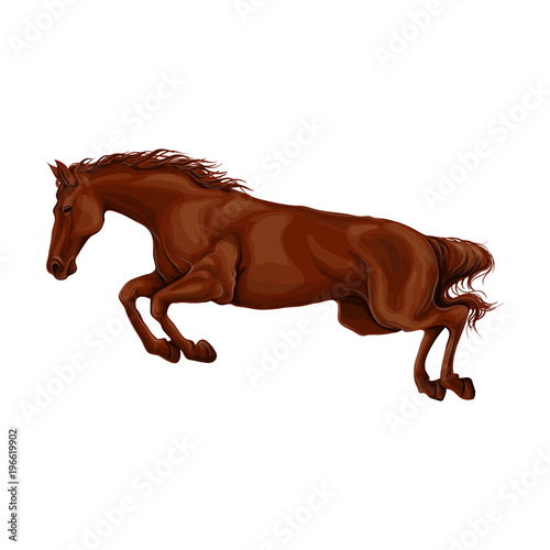 A horse stands, fawn, vector illustration