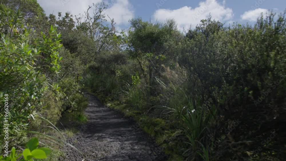 Open bush track with blue sky and clouds. Open bush track with blue sky and clouds.