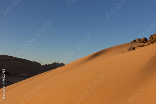 Ripples in the desert sand dunes in israel negev