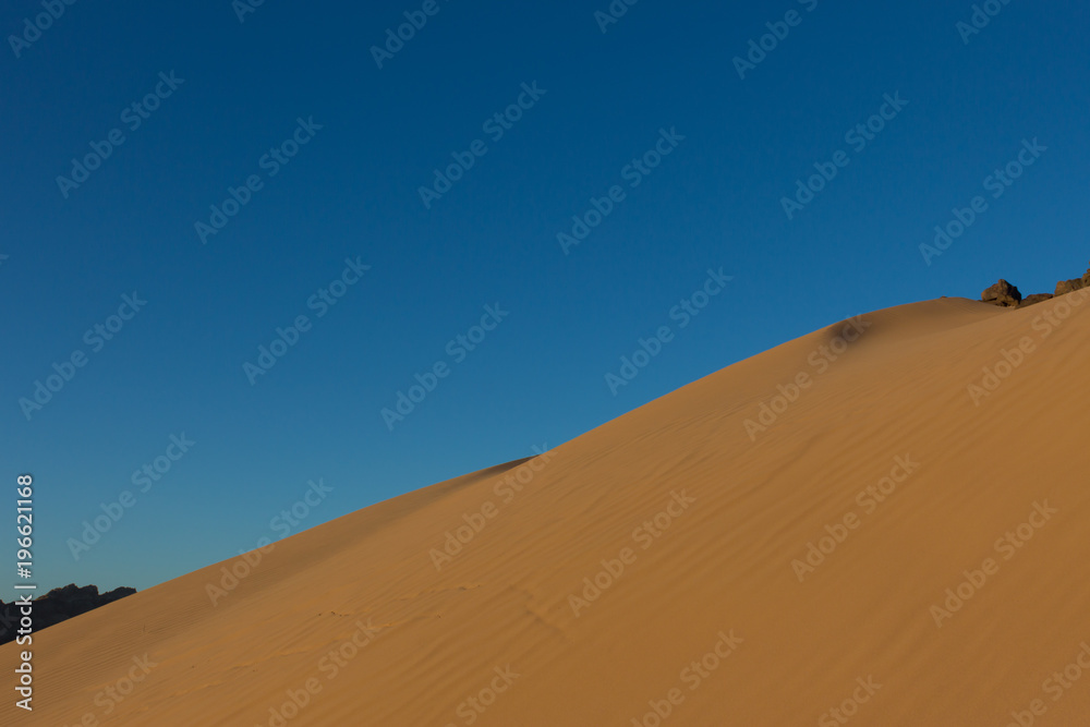 Ripples in the desert sand  dunes in israel negev