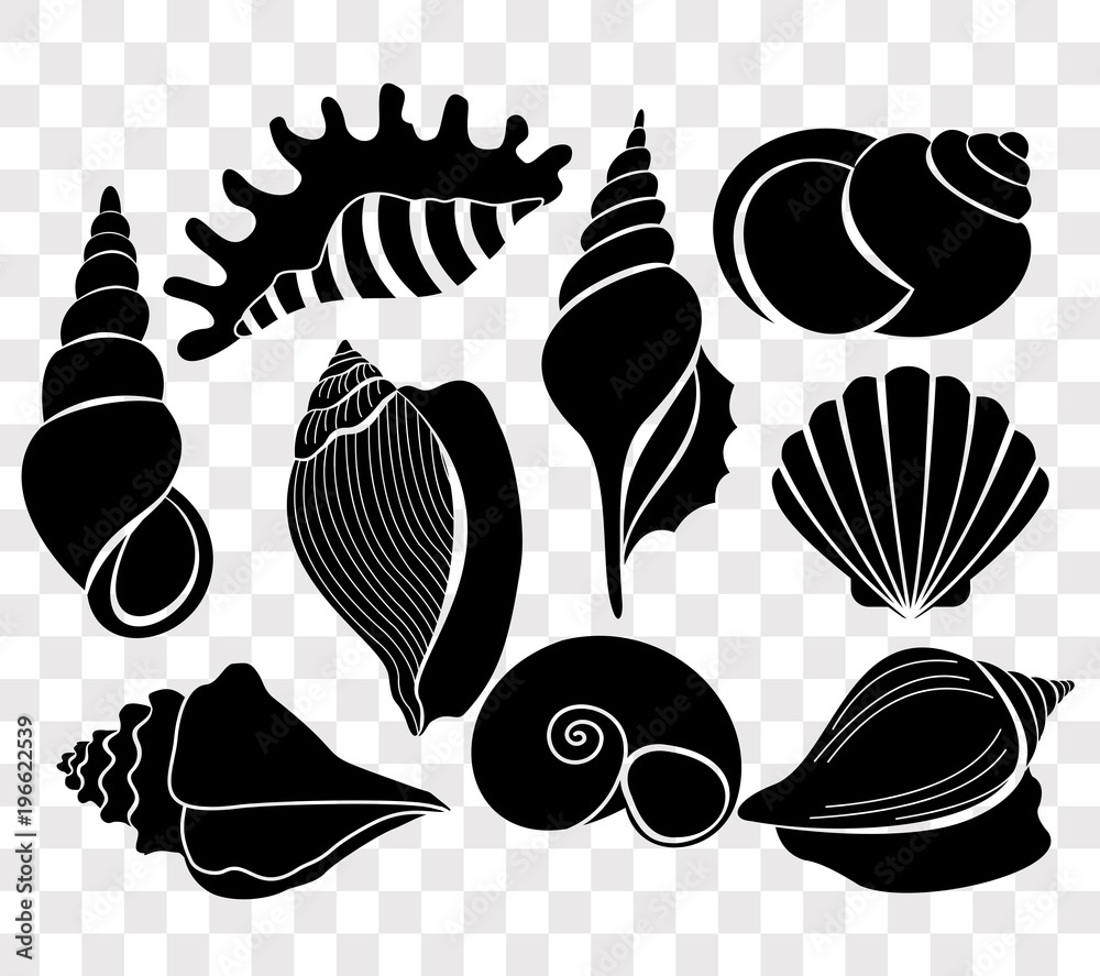 Vector illustration set of beautiful sea shells black silhouettes